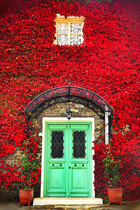 Provence, France.jpg