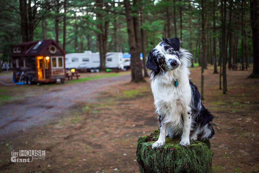 tiny-house-giant-journey-mobile-home-jenna-guillame-22