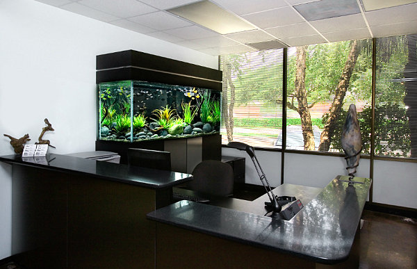 Black-aquarium-for-the-office