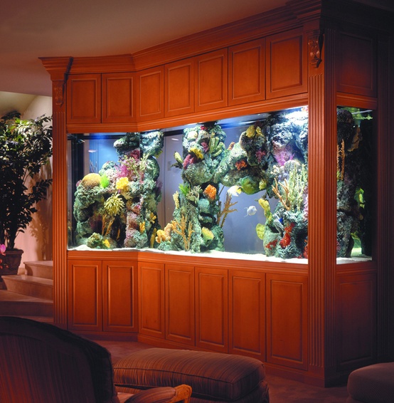 aquariums-in-interiors-10