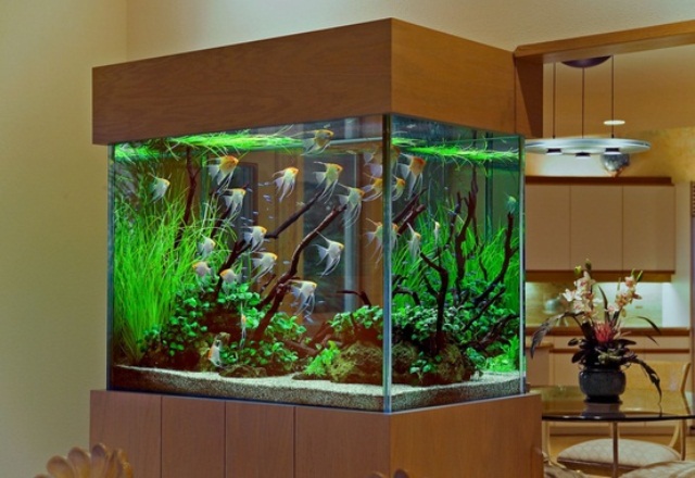 aquariums-in-interiors-30